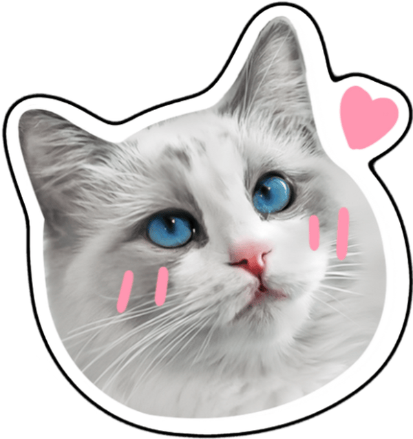 sticker ngại đáng yêu