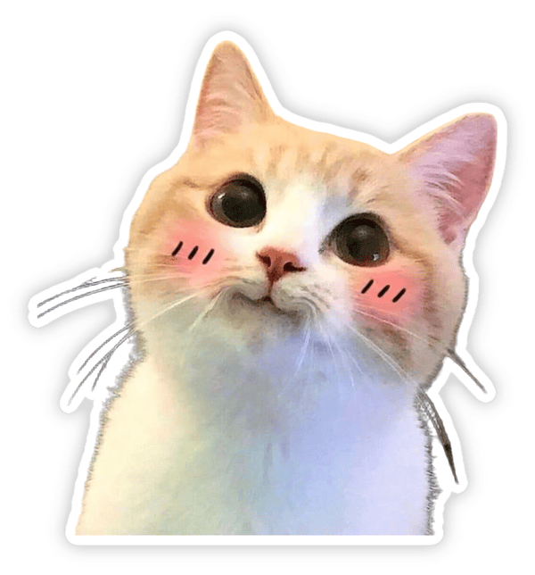 sticker ngại ngùng biểu cảm hài