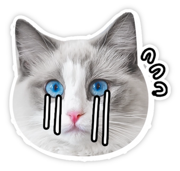 sticker nhõng nhẽo cảm xúc hài hước