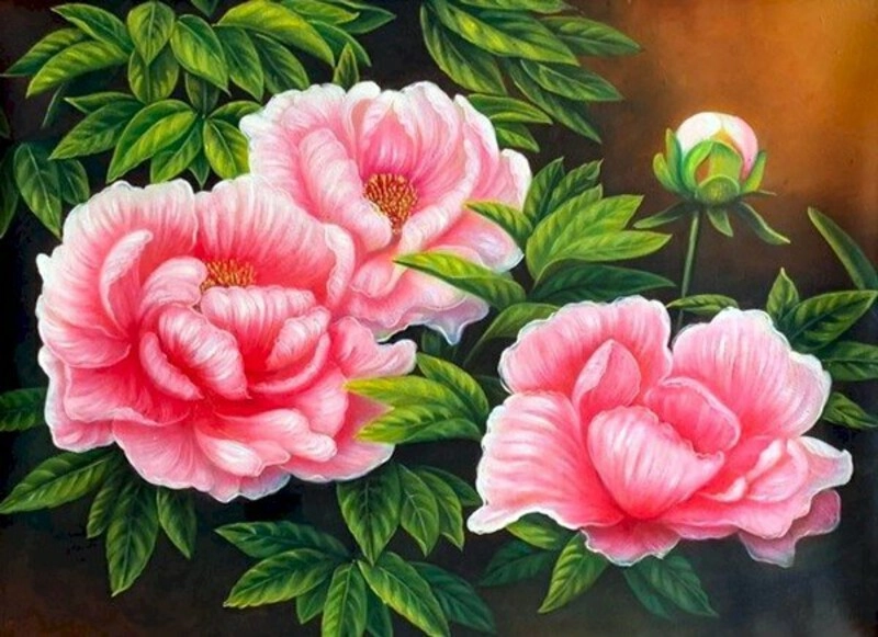 tranh hoa mẫu đơn vẽ tay