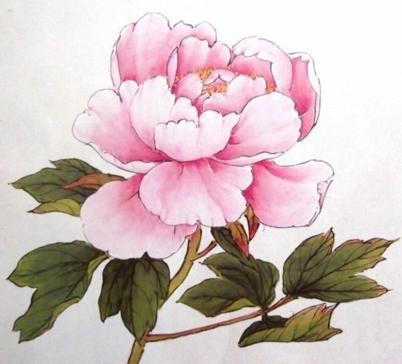 tranh hoa mẫu đơn