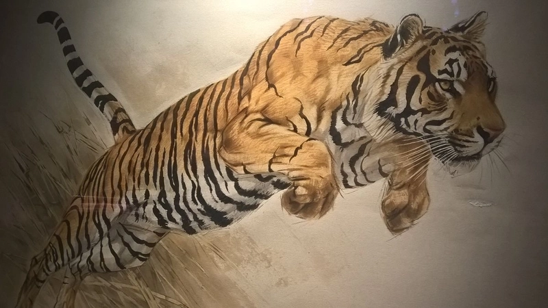 tranh vẽ hổ màu nước