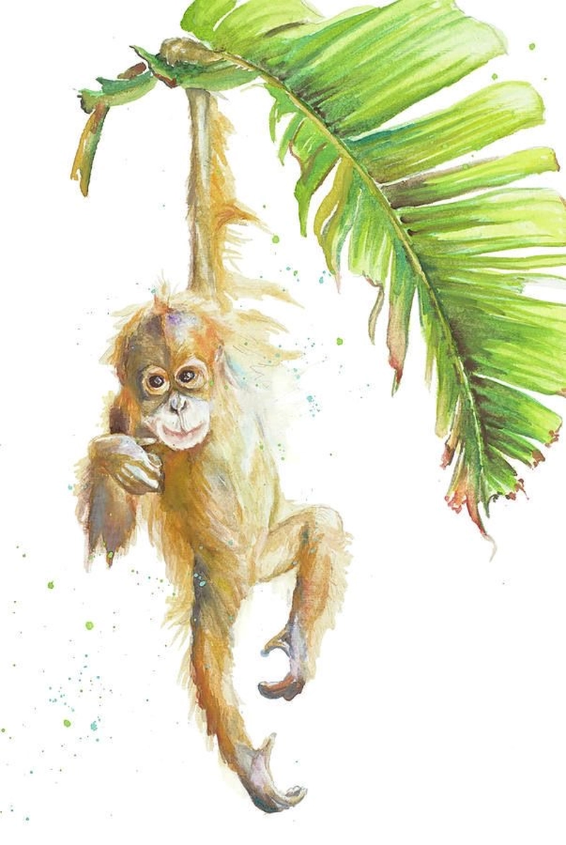 tranh vẽ khỉ đu lá cây