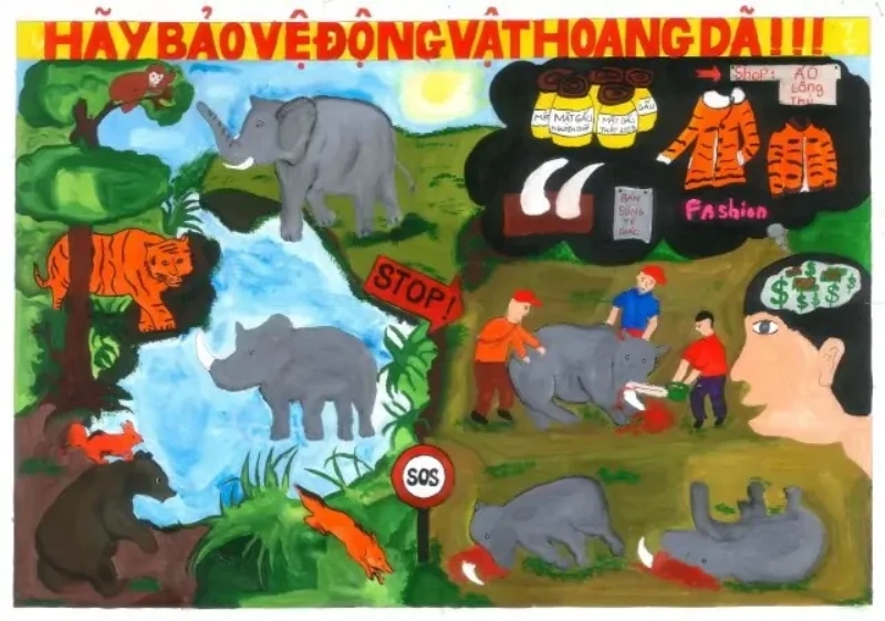 tranh động vật hoang dã đẹp 