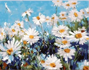 vẽ tranh hoa cúc đẹp