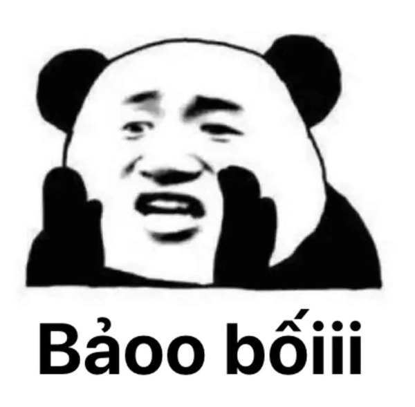 Ảnh meme gấu trúc dễ thương và độc đáo