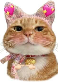 199+ ảnh meme mèo cute biểu cảm bá đạo cực kỳ đáng yêu - Featured post in Meme
