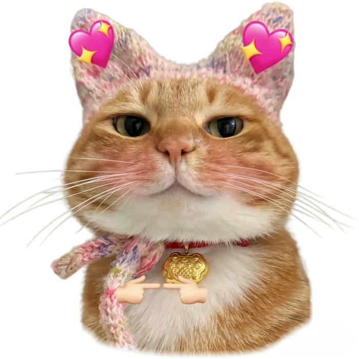 Ảnh mèo cute meme nét mặt ngộ nghĩnh cực yêu