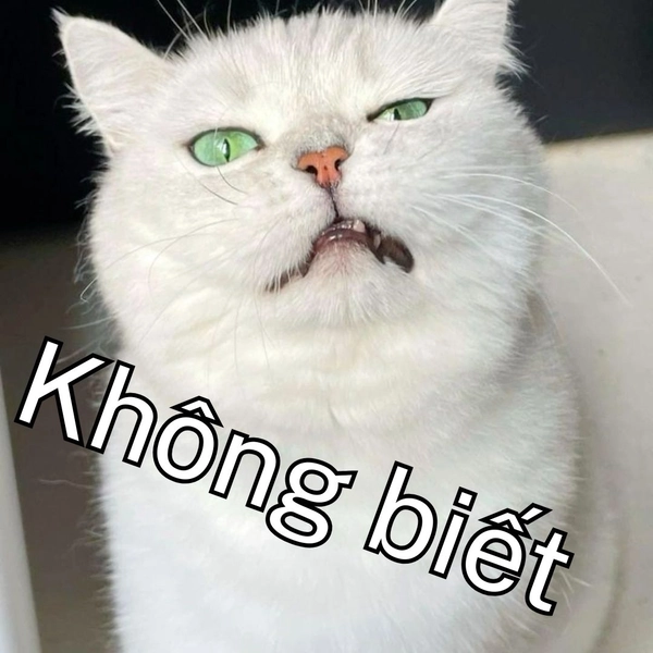 Meme ai biết gì đâu mèo trắng nheo mắt nghi ngờ