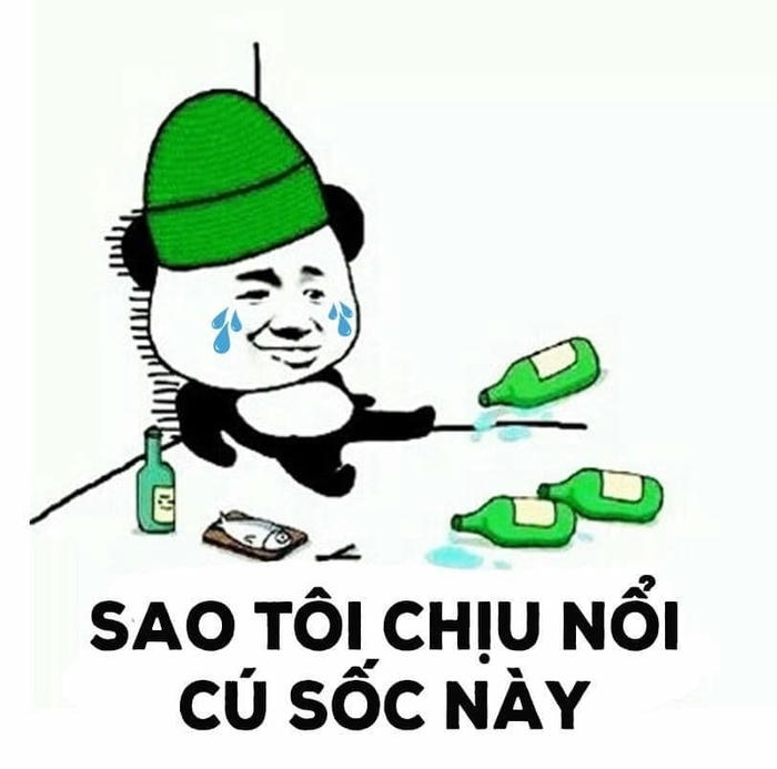 Meme buồn gấu trúc uống rượu sốc nặng vì thất tình