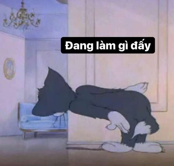 Meme mèo Tom tò mò nhìn trộm đang làm gì đấy