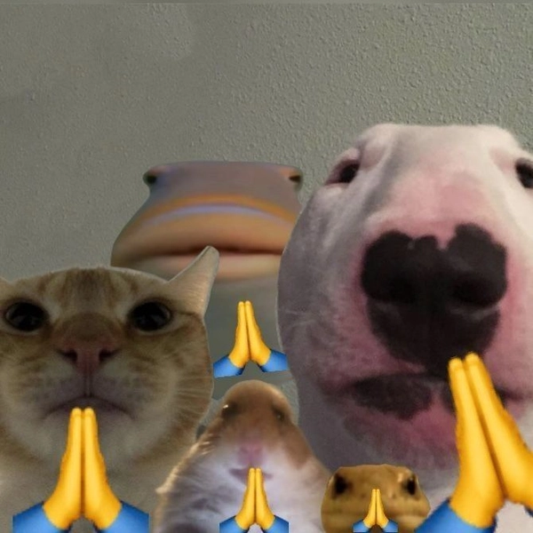 Meme xin lỗi với biểu cảm chân thành