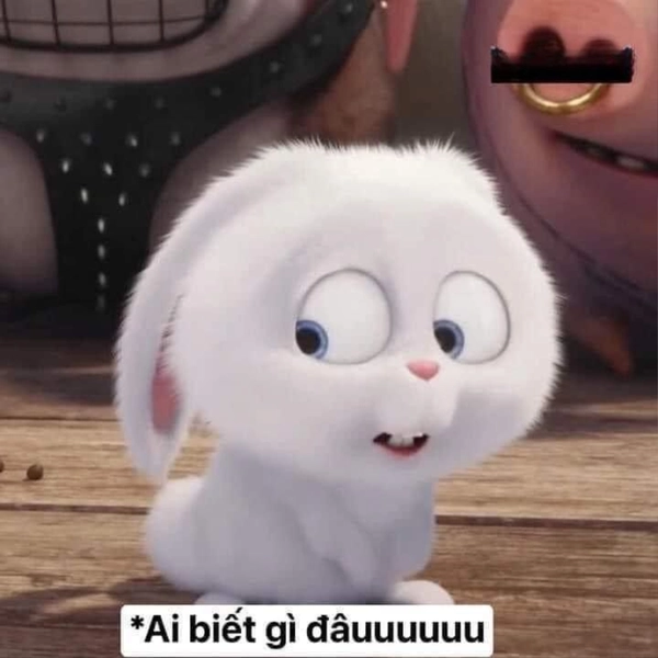 ai mà biết được meme