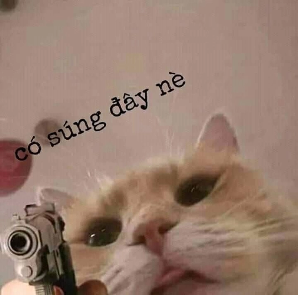 ảnh cầm súng meme