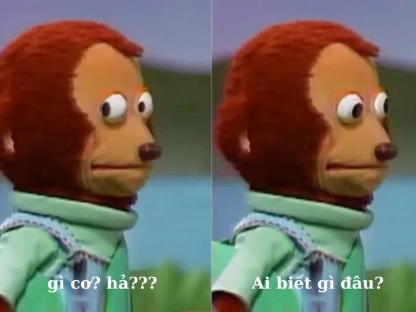 ảnh meme ai biết gì đâu