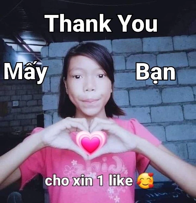 ảnh meme cảm ơn