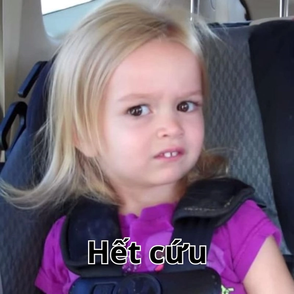ảnh meme chịu
