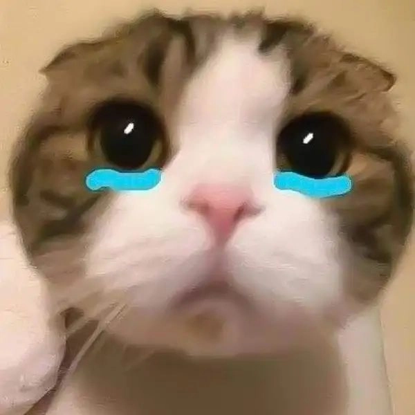 ảnh meme giận dỗi