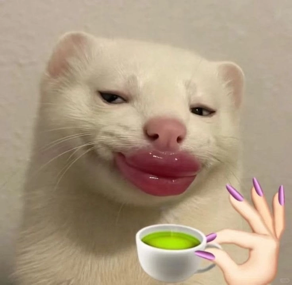 ảnh meme liếc mắt liếc xéo troll bạn bè cực vui