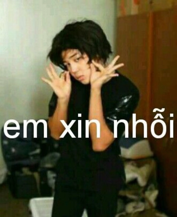 ảnh meme xin lỗi