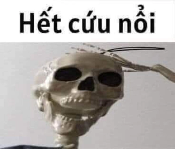bó tay meme