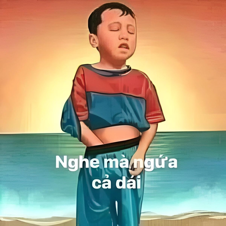 chửi meme