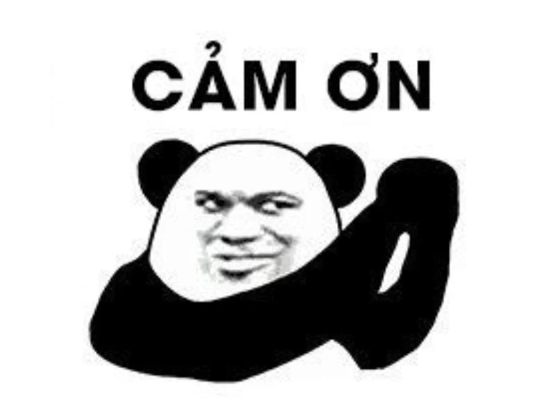 hình ảnh cảm ơn meme