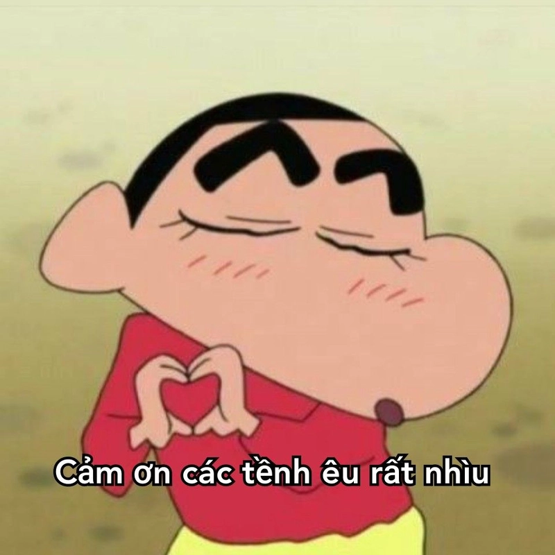 hình meme cảm ơn