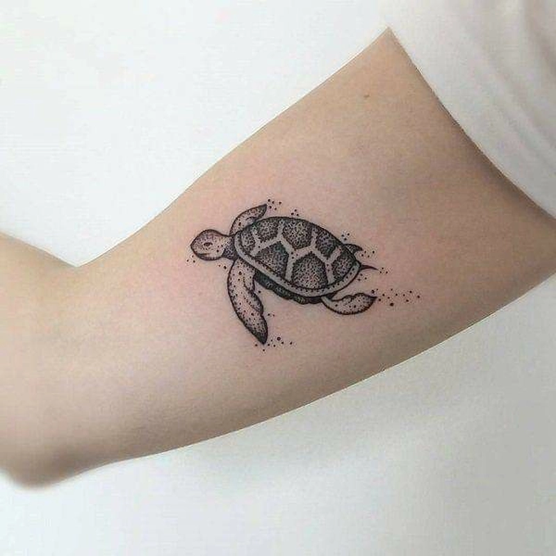 hình xăm con rùa ở tay