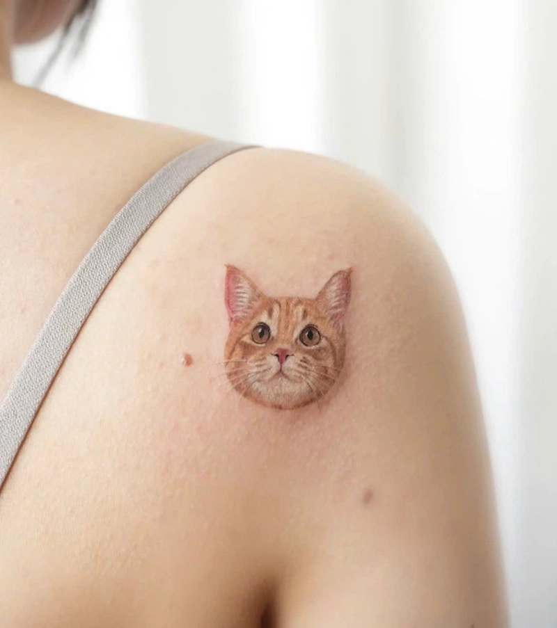hình xăm mèo mini cute