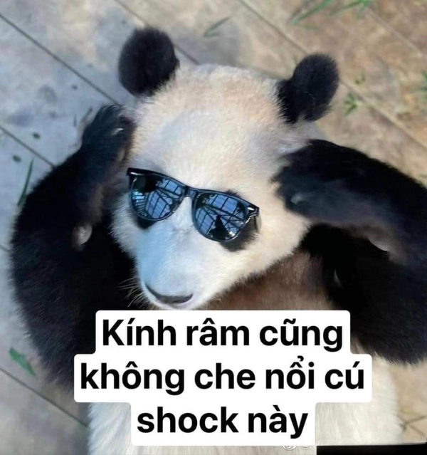 không hiểu meme