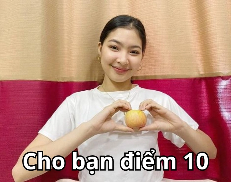 meme 10 điểm bựa nhất