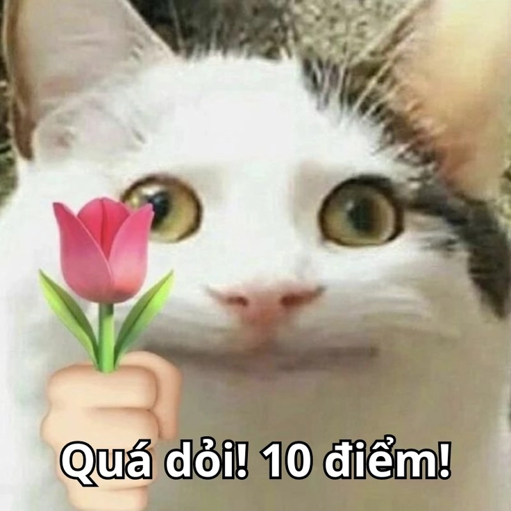meme 10 điểm cười