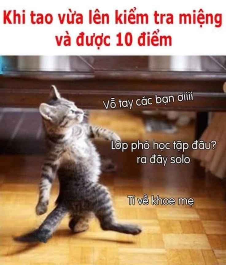 meme 10 điểm dễ thương