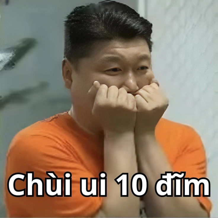 meme 10 điểm hình ảnh