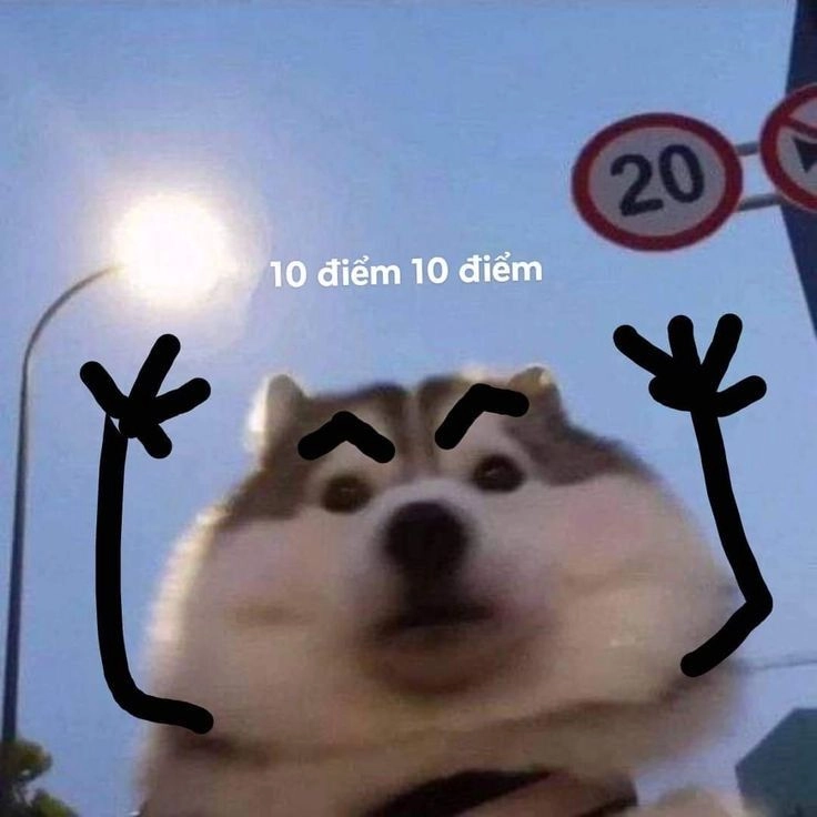 meme 10 điểm hoàn hảo