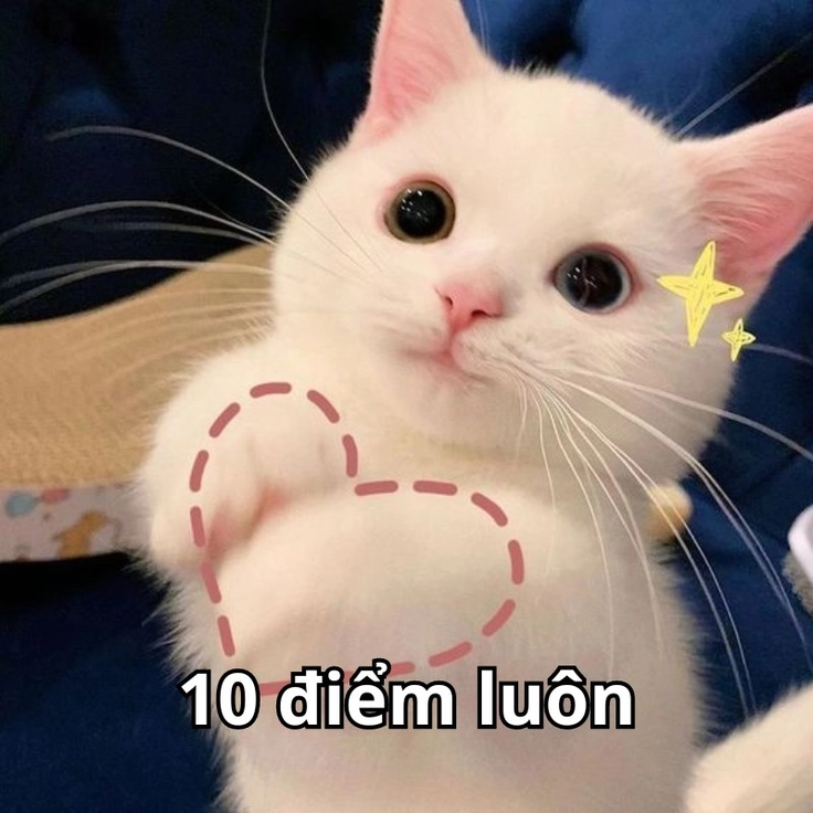 meme 10 điểm icon
