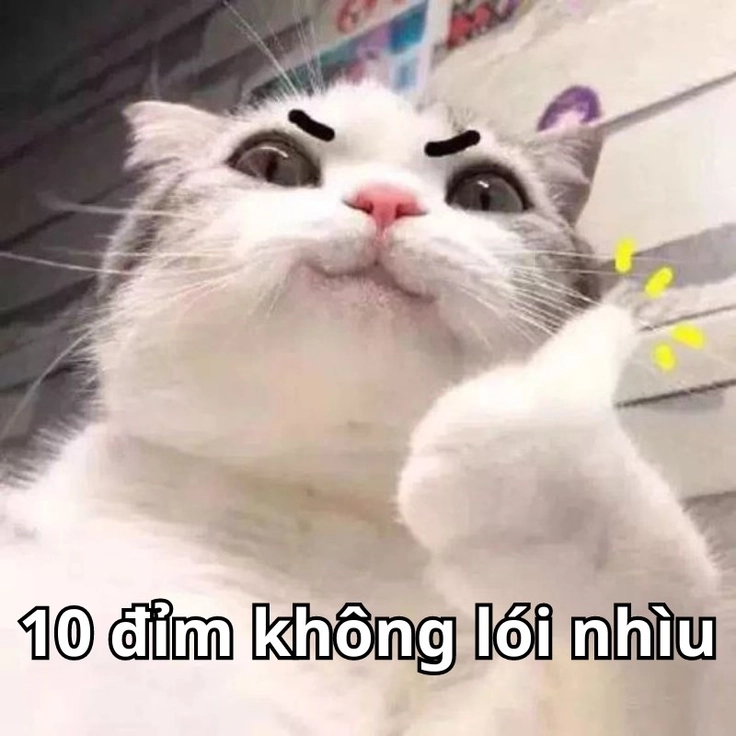 meme 10 điểm không có nhưng