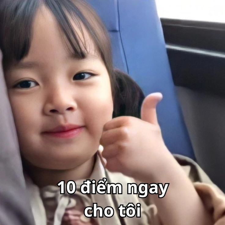 meme 10 điểm vui nhộn