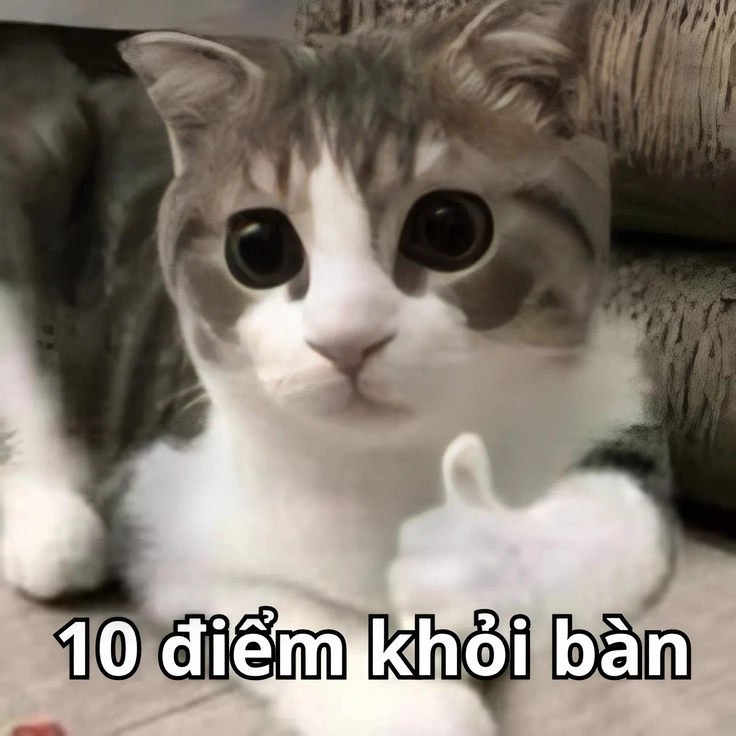 meme 10 điểm xuất sắc