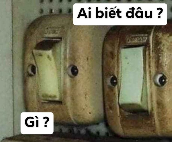 meme ai biết được đâu