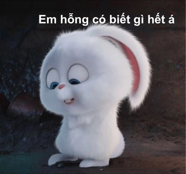 meme ai biết được