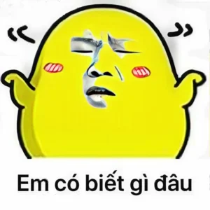 meme ai biết gì đâu đáng yêu