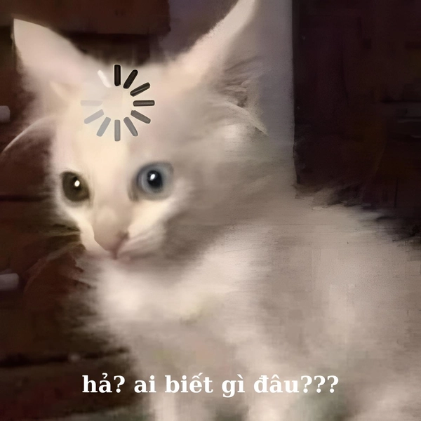 meme ai biết gì đâu mèo