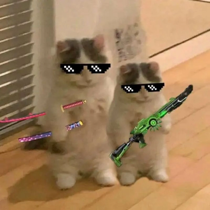 meme ảnh chế cầm súng