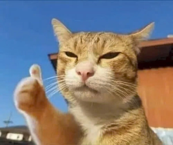 meme ảnh chế giơ tay