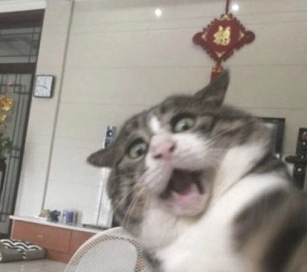 meme bất ngờ hài bá đạo