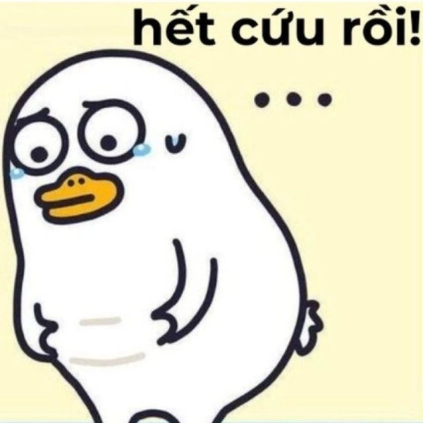 meme bó tay toàn tập