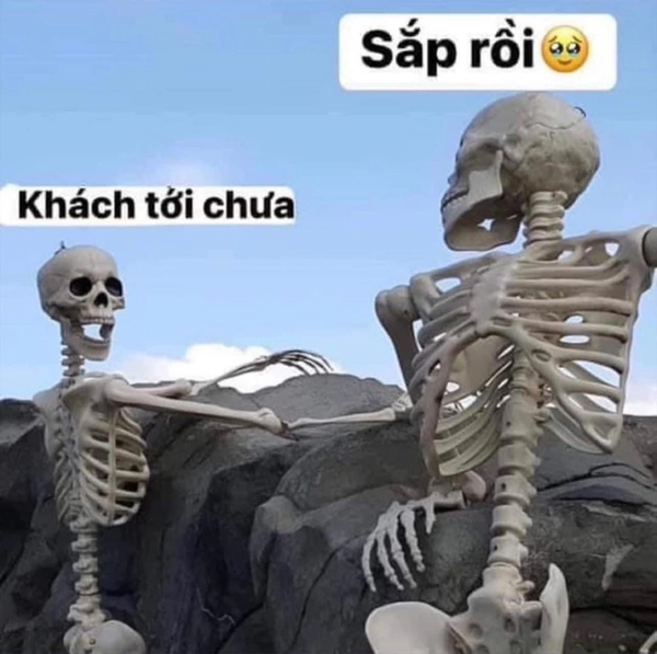 meme bộ xương chờ tin nhắn