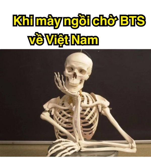 meme bộ xương crush không rep
